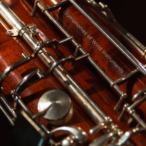 荡暴露狂女娃⒣
